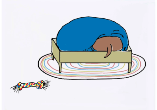  Molly O Dog Bed Get Well Card 