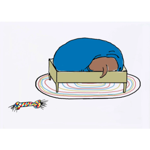  Molly O Dog Bed Get Well Card 