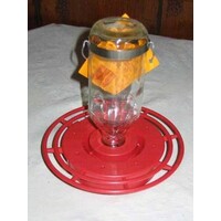 Glass HB Feeder Best