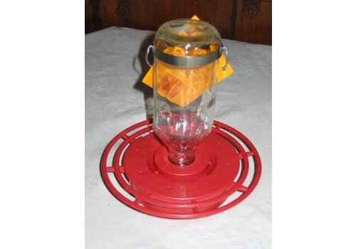  Glass HB Feeder Best 