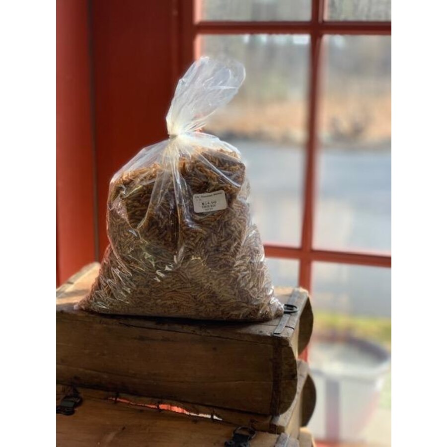 1 lb. Roasted Mealworms