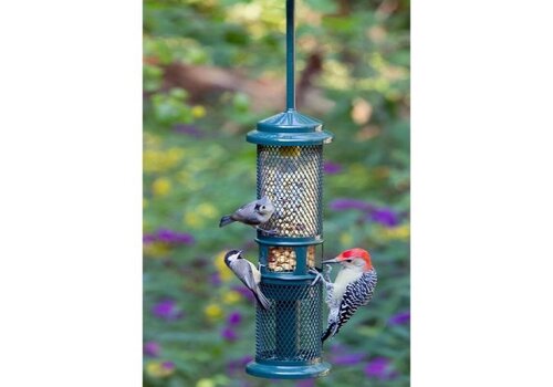  Squirrel Buster Peanut 