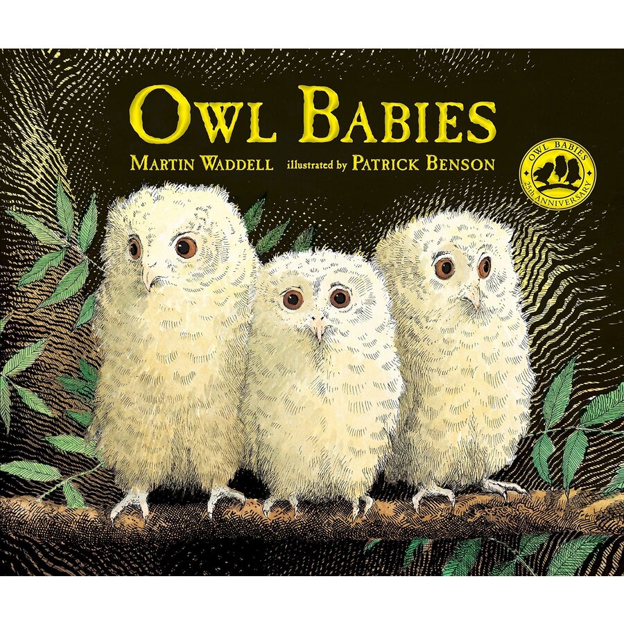 Owl Babies Padded Board Book