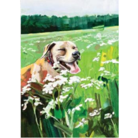 Smiling Dog BDayCard