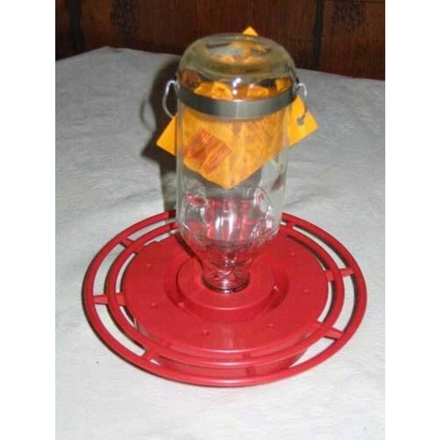 Glass HB Feeder Best