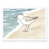 Molly O Sandpiper Card