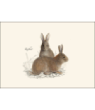 Earth sky water Cottontail Rabbit Boxed Cards