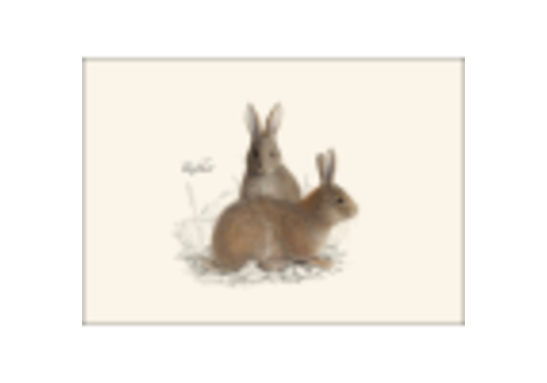  Earth sky water Cottontail Rabbit Boxed Notecards 