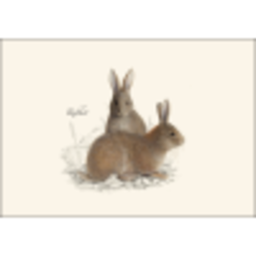  Earth sky water Cottontail Rabbit Boxed Notecards 