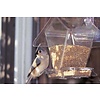 Window Cafe Hopper Window Cafe Hopper