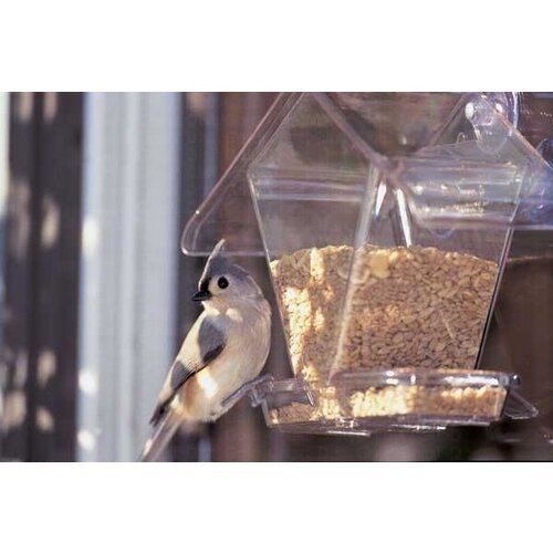  Window Cafe Hopper 