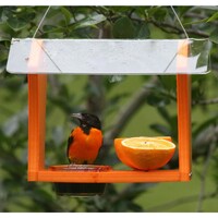 Oriole Feeder Green Solutions