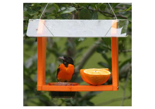  Oriole Feeder Green Solutions 