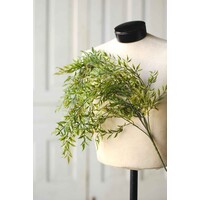 Smilax Hanging