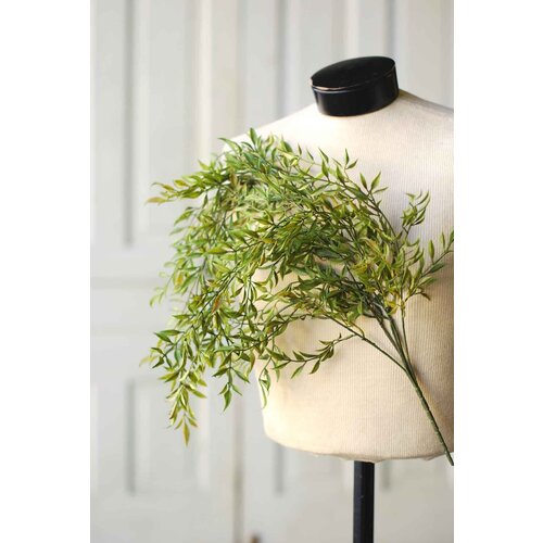  Smilax Hanging 
