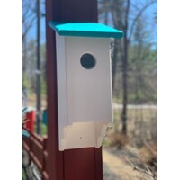 Poly BB House RT