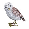 Barn Owl - SM