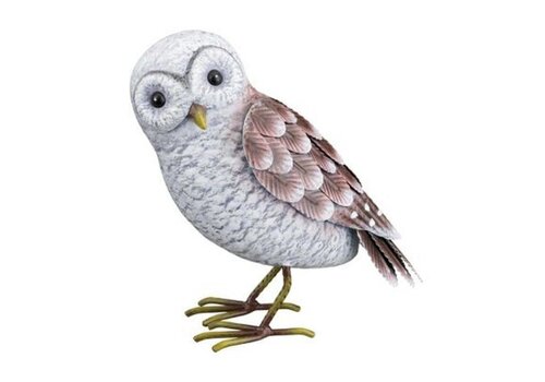  Barn Owl - SM 