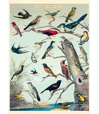 Cavallini Papers & Co Audubon Bird Gift Wrap