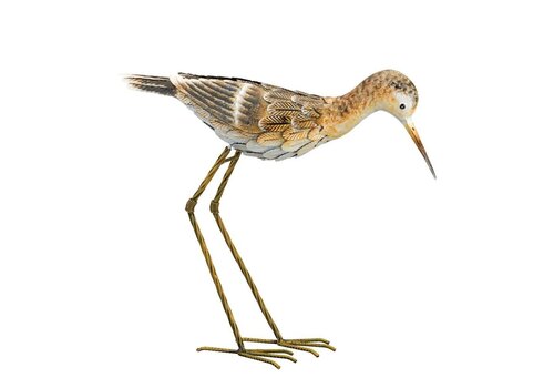  Sandpiper Up 