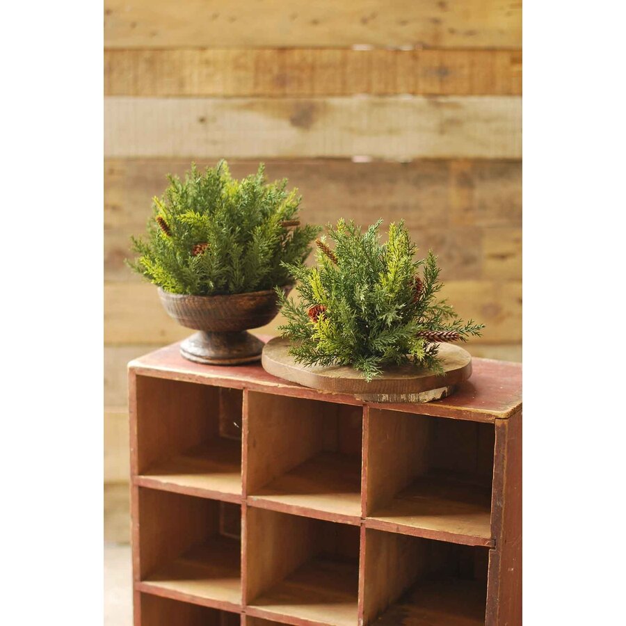 Prickly Pine Brush Small