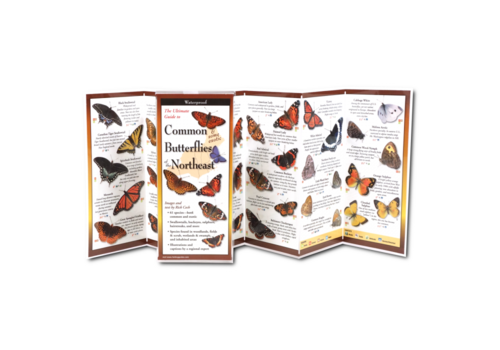  Earth sky water Common Butterflies of the NE Folding Guide 