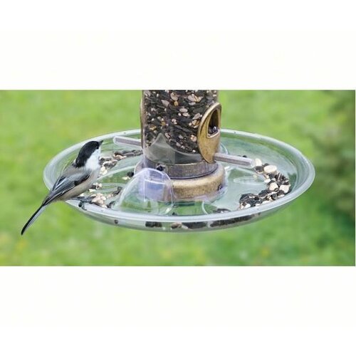  Aspects Aspects Quick Clean Tray 