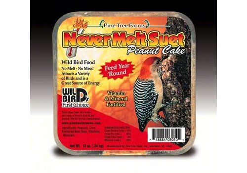  PTF Never Melt Suet Peanut Cake 13 oz. 