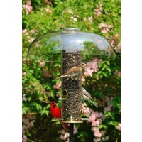 Aspects Super Tube Top II