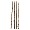 Creative Co-Op 59" Wood Birch