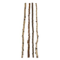 59" Wood Birch