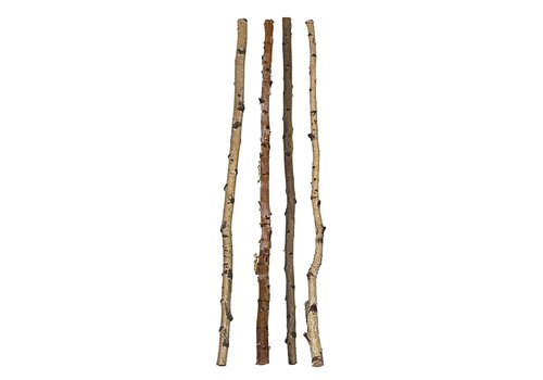  Creative Co-Op 59" Wood Birch 