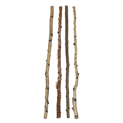  Creative Co-Op 59" Wood Birch 