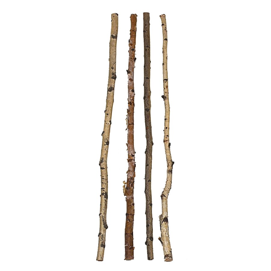 59" Wood Birch