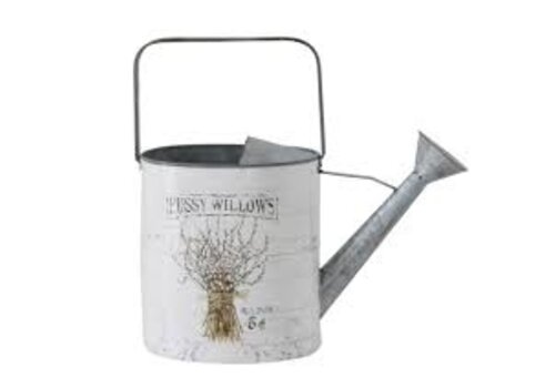  Creative Co-Op Pussy Willow W Can 