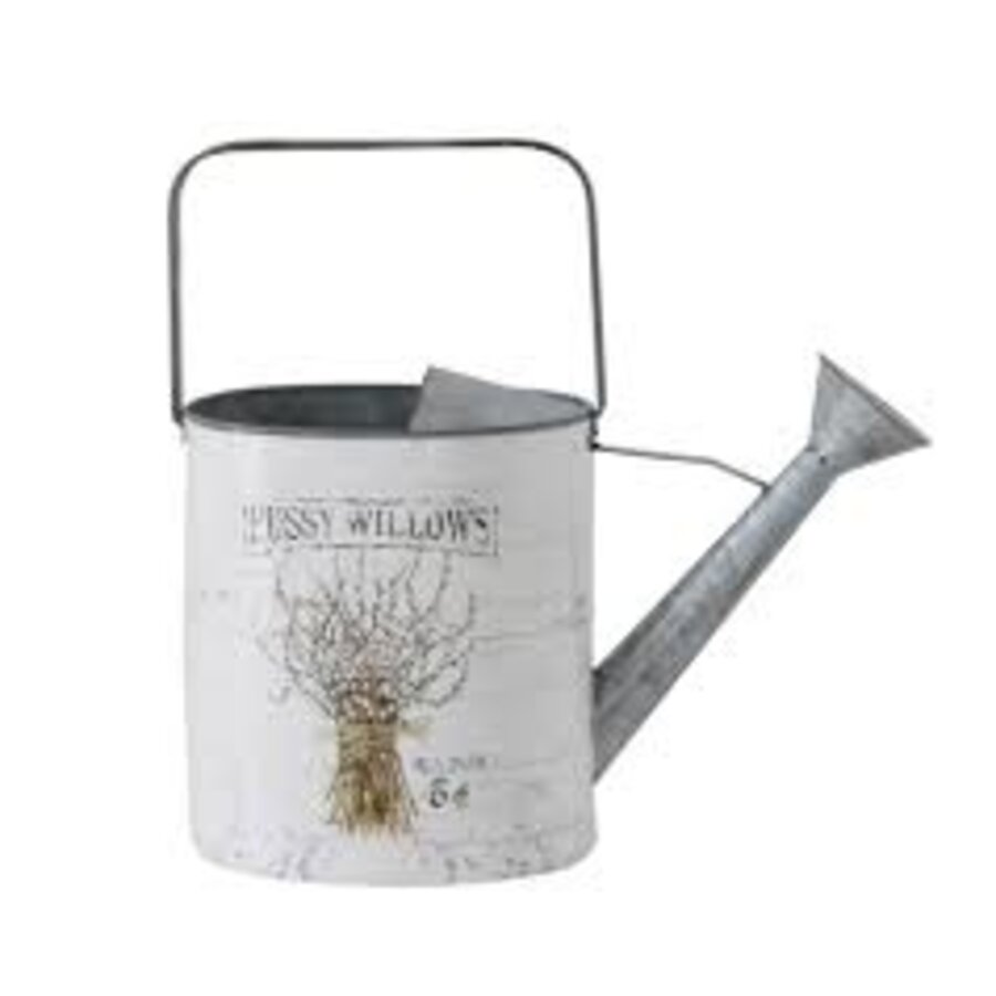 Pussy Willow W Can