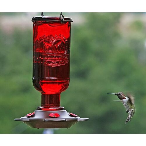  Elixir HB Feeder 15 oz 