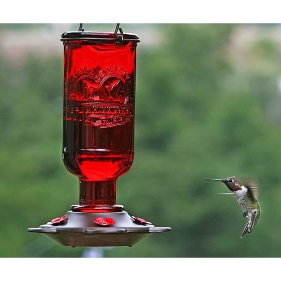 Elixir HB Feeder 15 oz