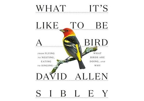 What It's Like to Be a Bird   What It's Like to Be a Bird