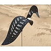 Florida Dancing Birds Loon Dancing Bird