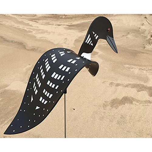 Florida Dancing Birds Loon Dancing Bird 