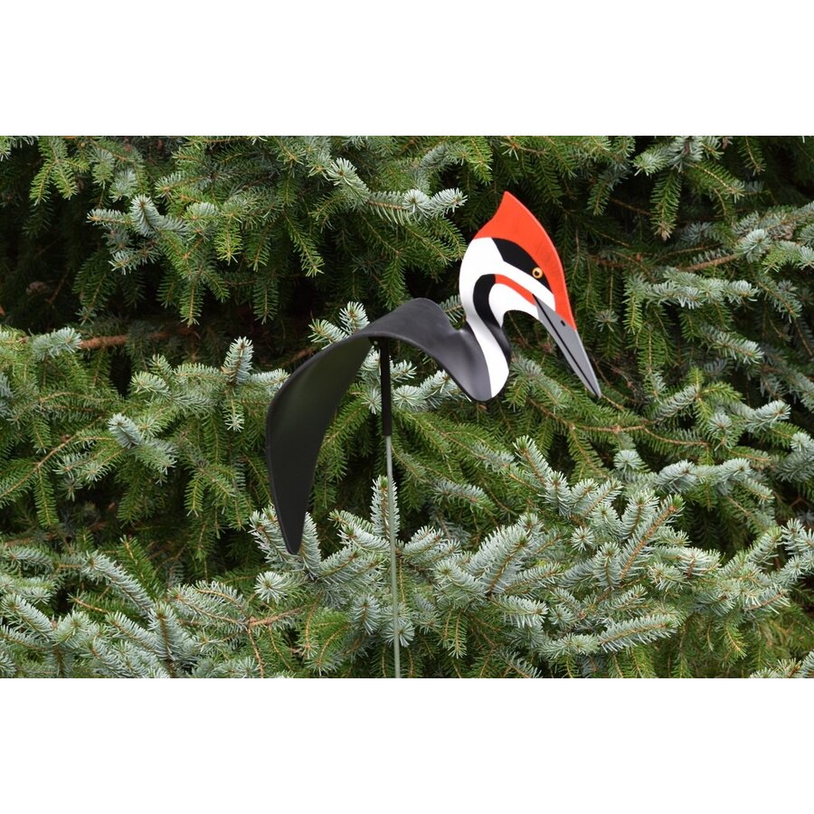 Pileated Woodpecker Dancing Bird