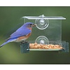 Mini Green Window Feeder