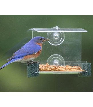 Mini Green Window Feeder