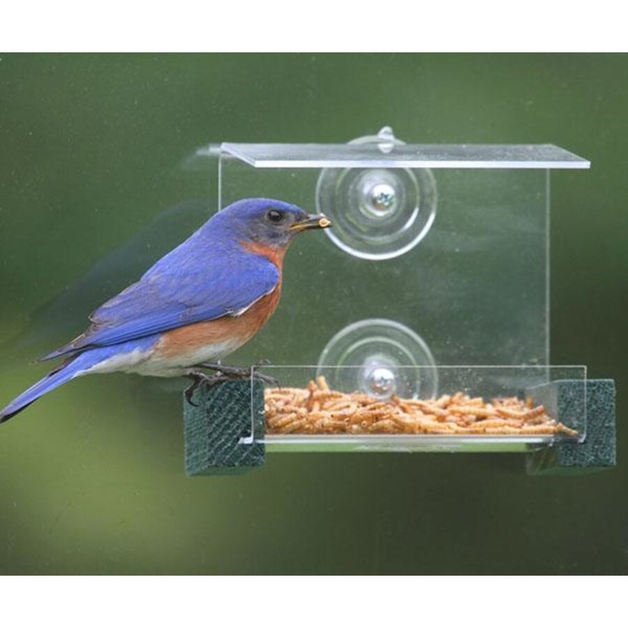 Mini Green Window Feeder