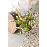 Eucalyptus & Seed Spray