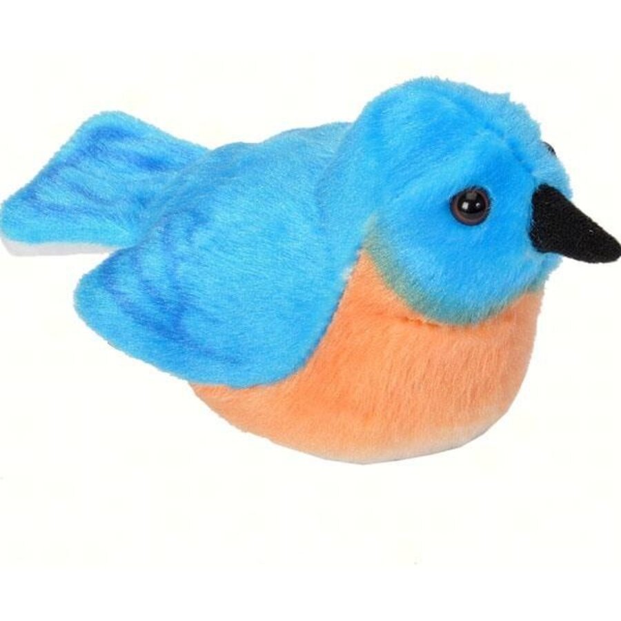 Bluebird Audubon