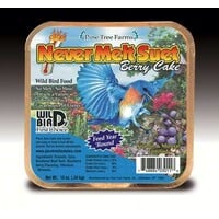 PTF Never Melt Berry Suet