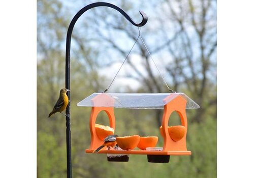  Oriole Diner Feeder 