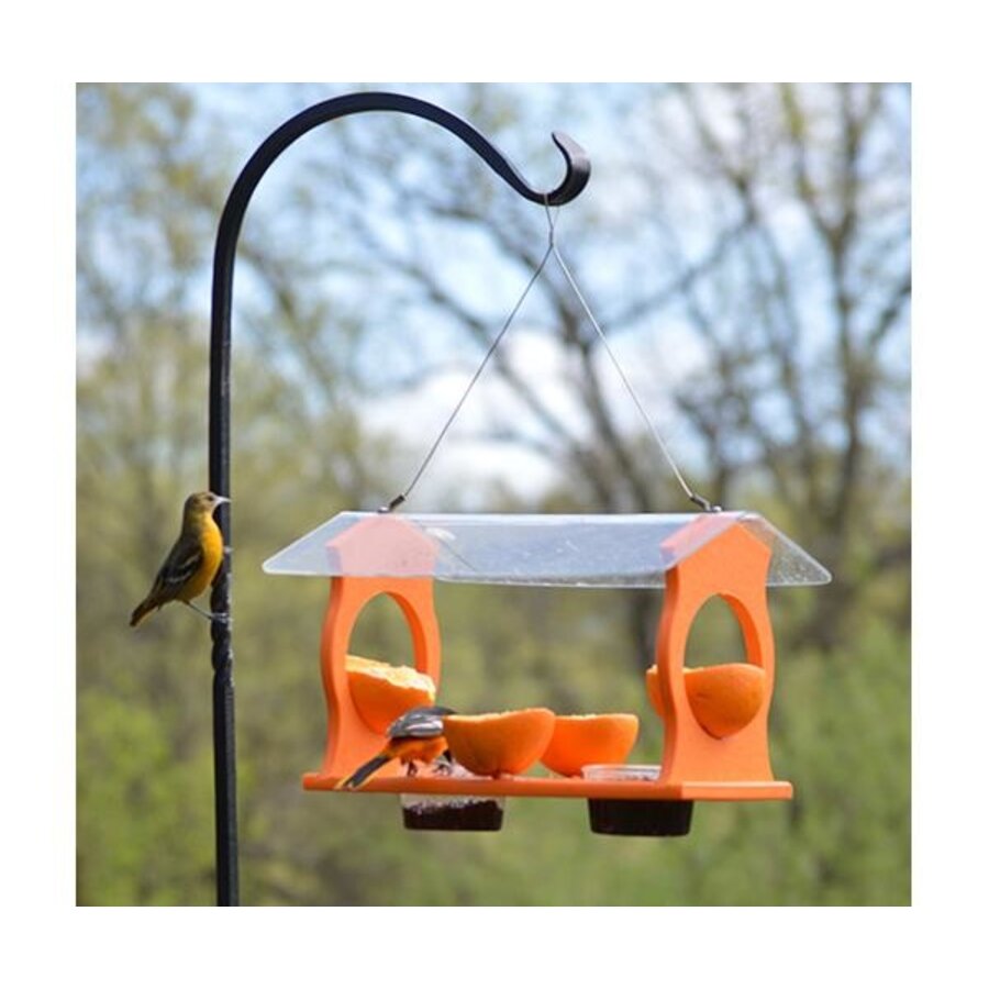 Oriole Diner Feeder